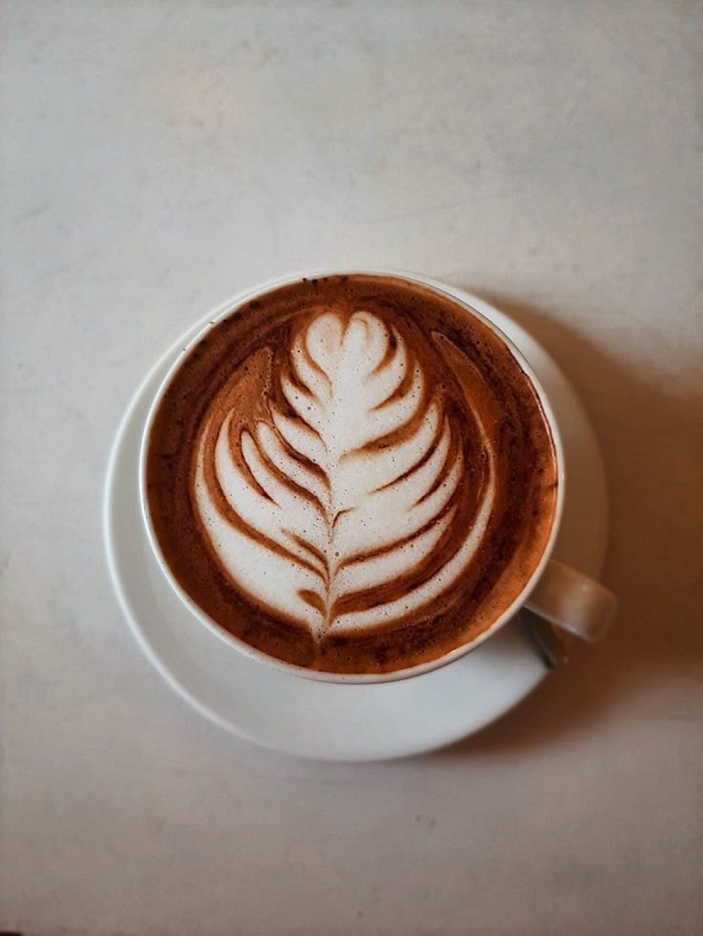 Mocha